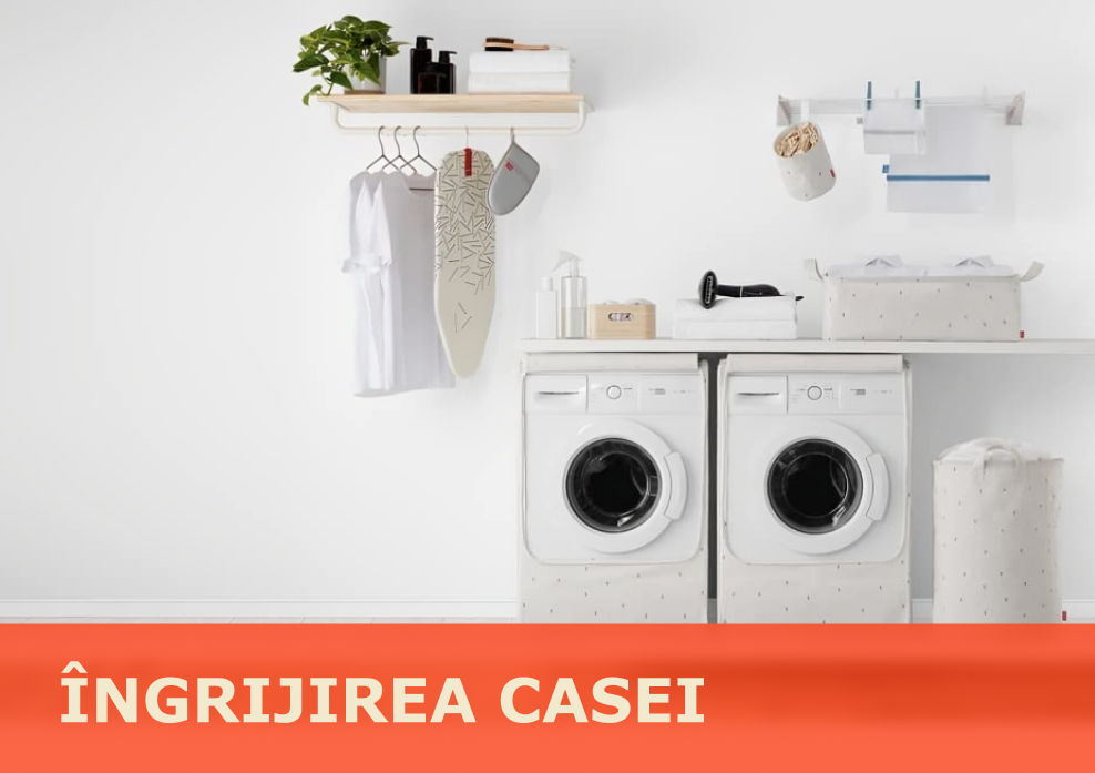 Ingrijirea Casei